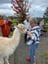 Iris Lodge Alpaca Farm Image -627515e859b38